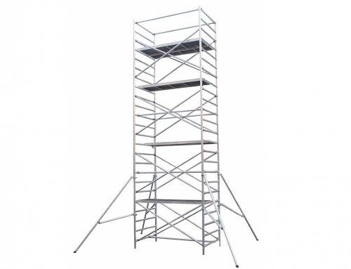 2X24 Scaffolding Ladder